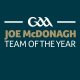 Joe McDonagh Cup Team of the Year