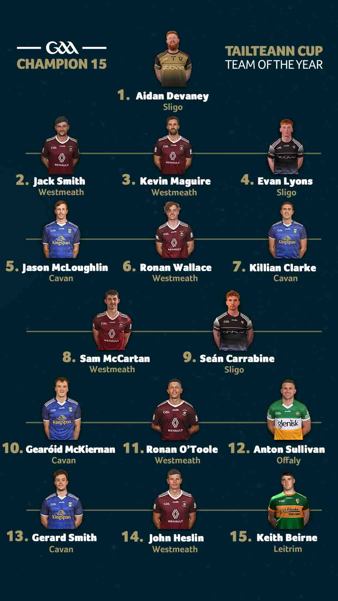 Tailteann Cup Team of the Year Gaelic Players Association