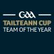 Tailteann Cup Team of the Year