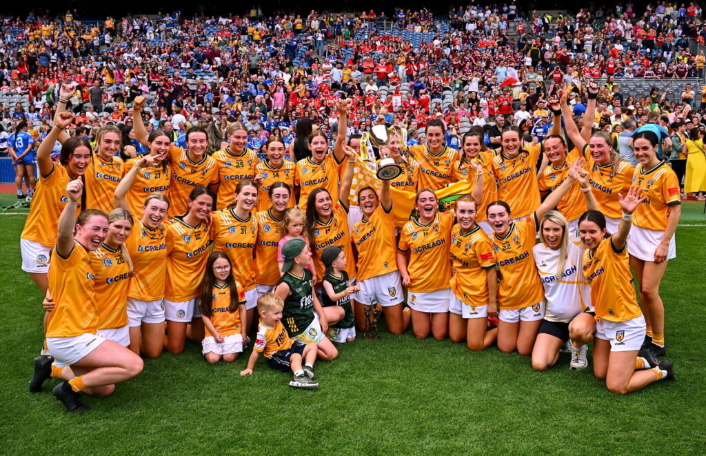Antrim v Laois - Glen Dimplex All-Ireland Intermediate Camogie Championship Final