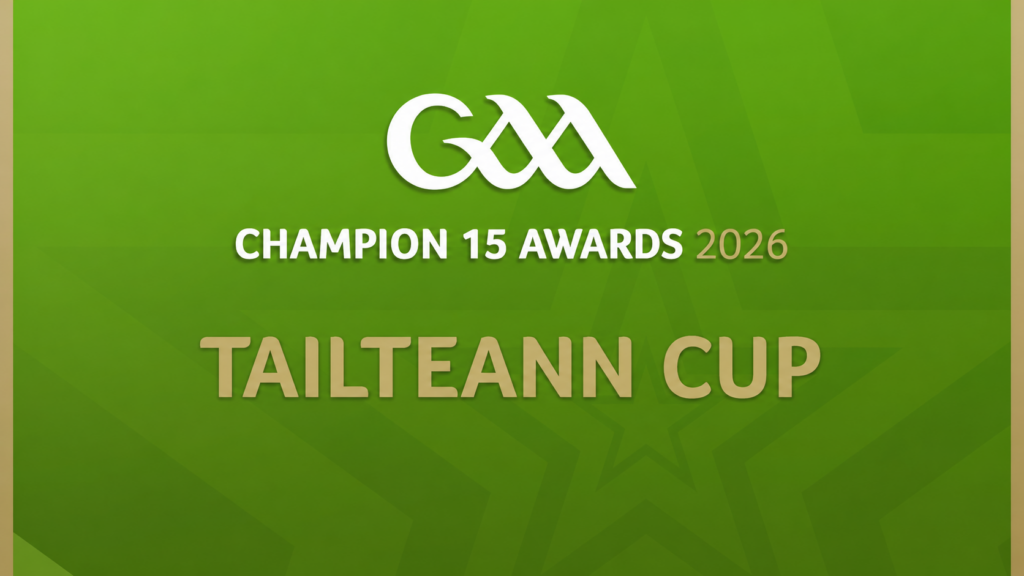 Tailteann Cup Team of the Year 2026